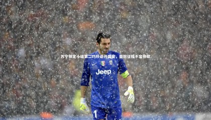 熊猫体育官网：苏宁锁定小组第二巧妙避开国安，亚冠征程不容停歇