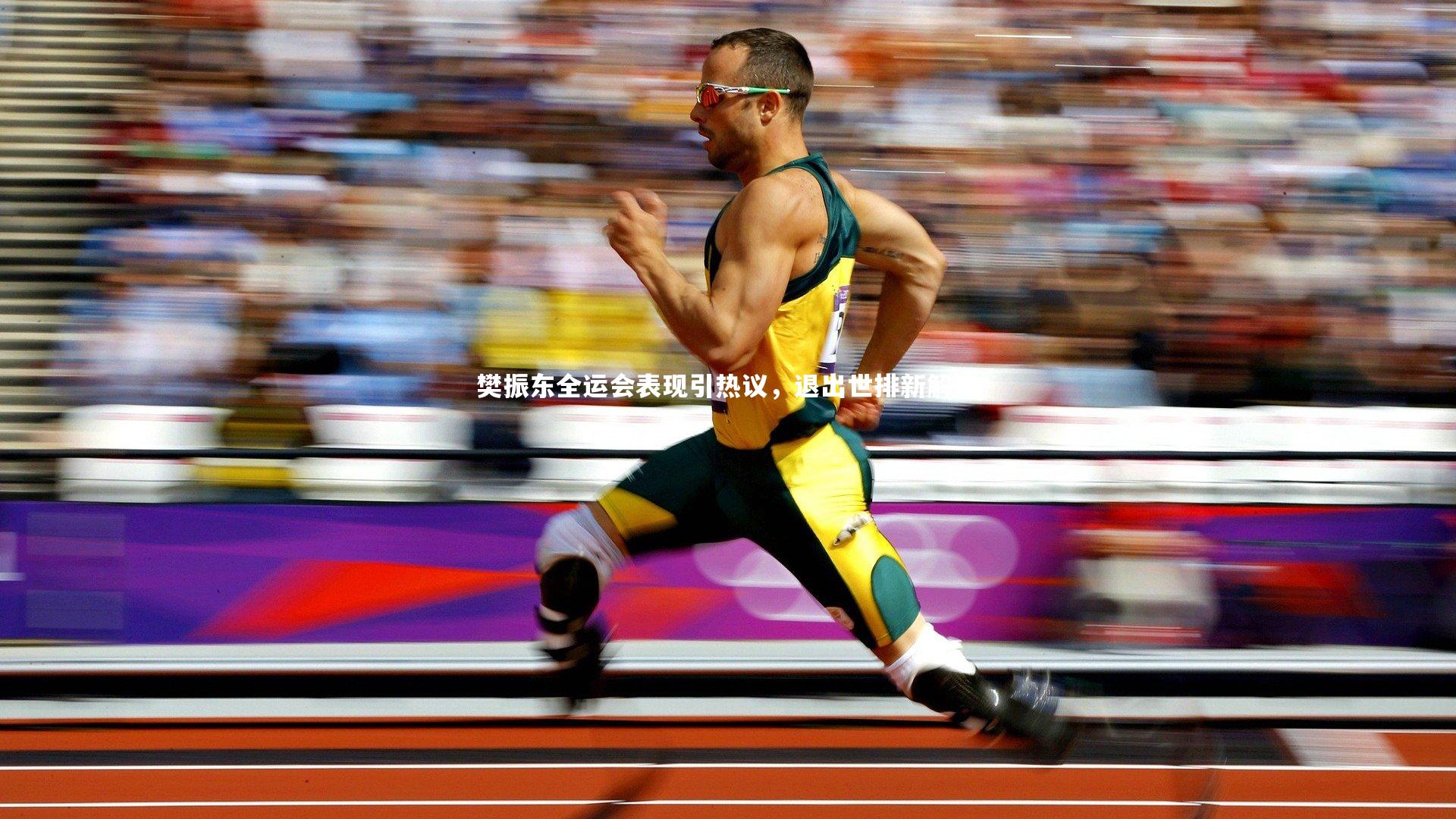 樊振东全运会表现引热议，退出世排新解读